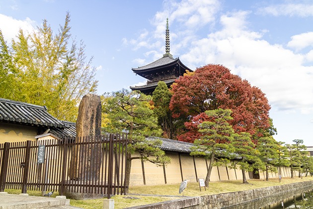 京都の東寺